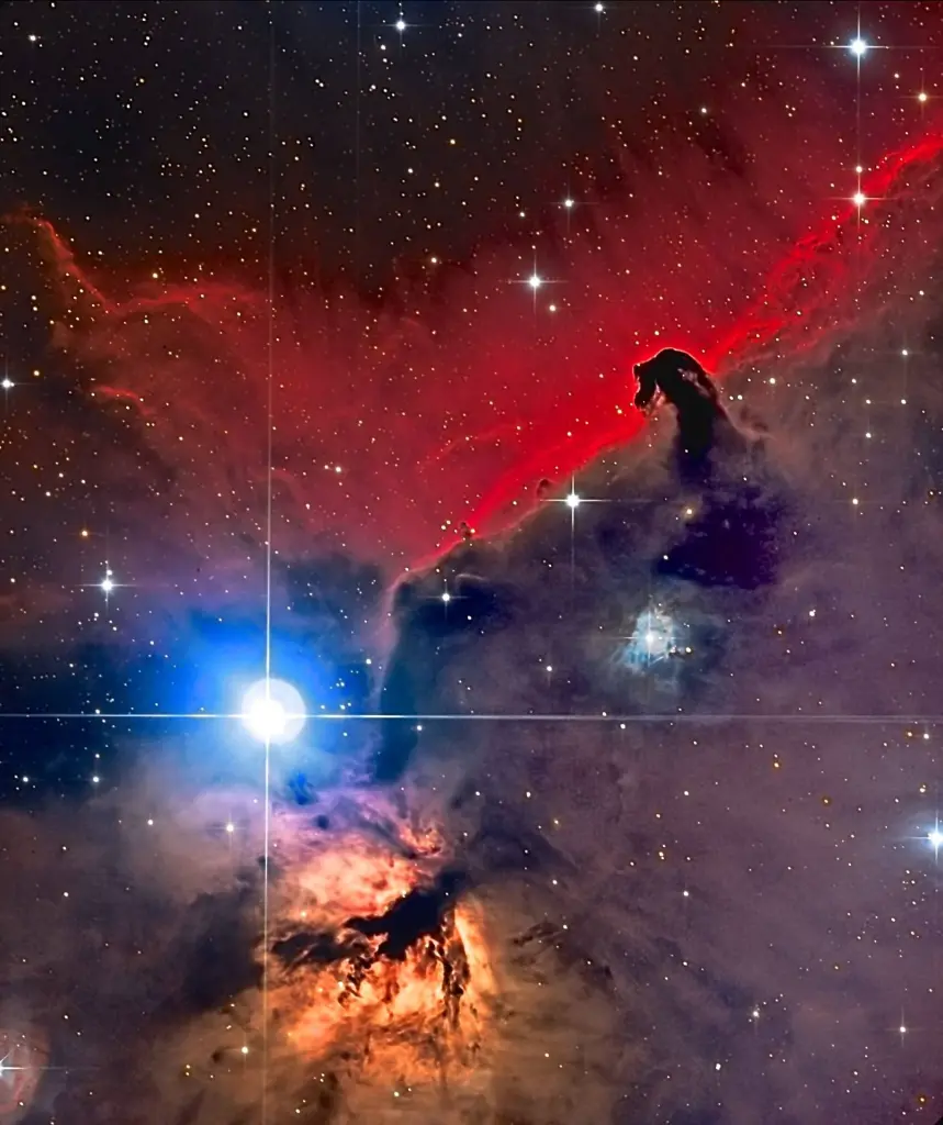 Caballo-orion-scaled.webp