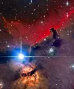 Caballo-orion-scaled.webp