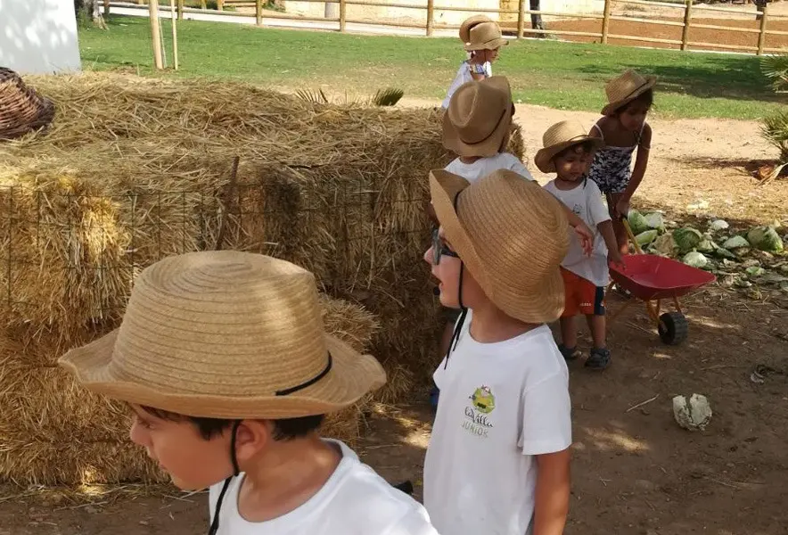 LA VILLA JUNIOR