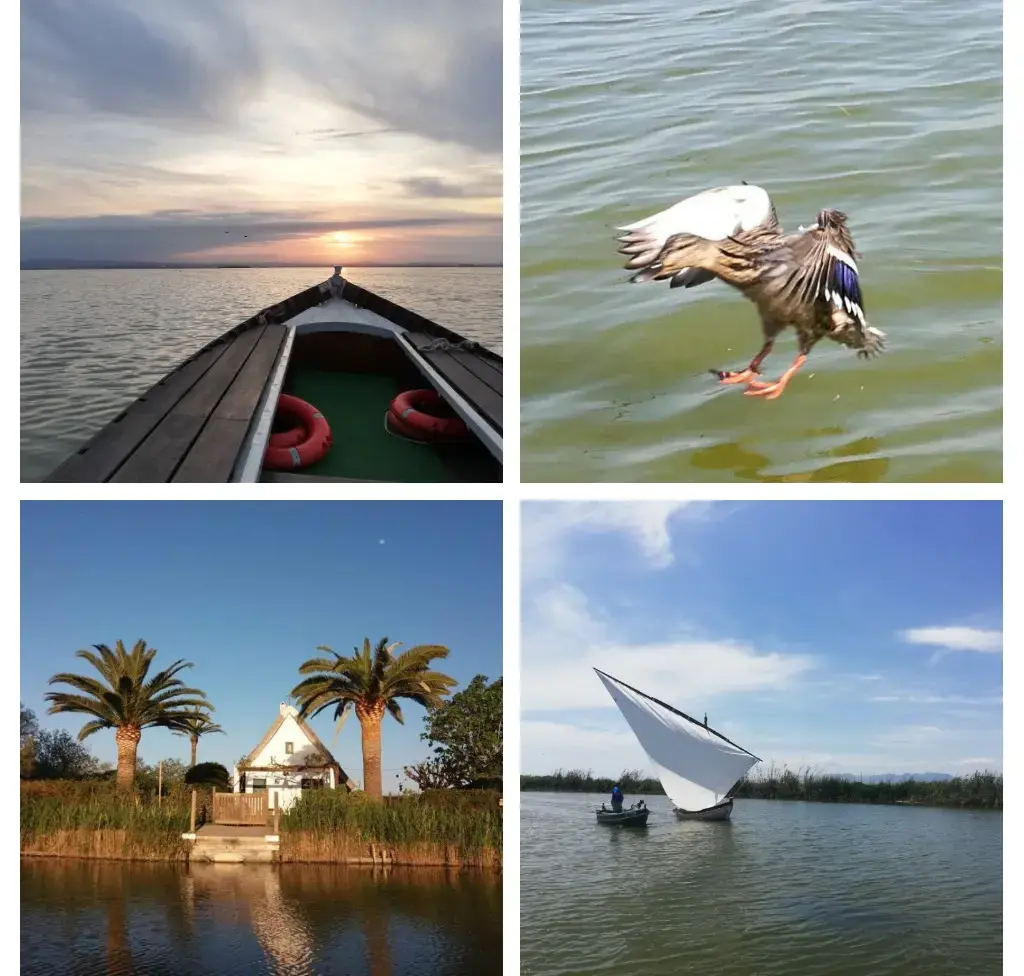 [NATURA ALBUFERA] NATURA ALBUFERA